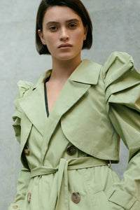 Ishi Trench